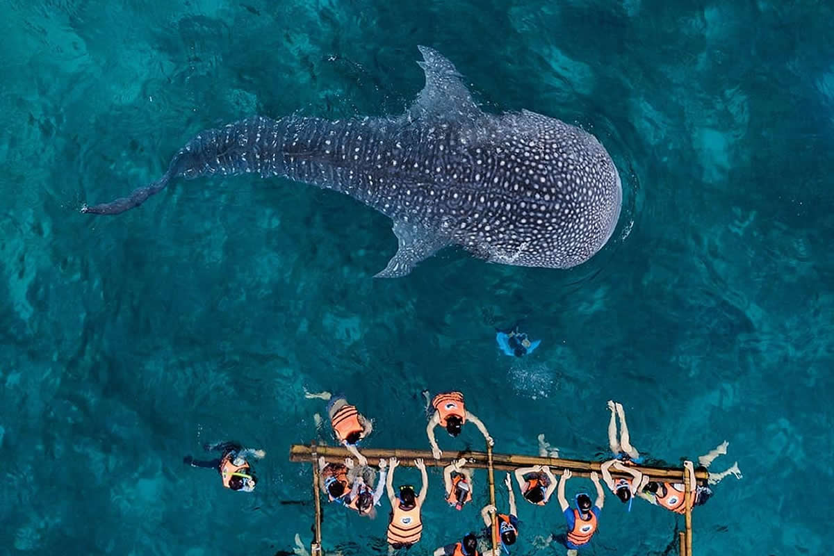 Drone Aerial Photography by Dimitar Karanikolov