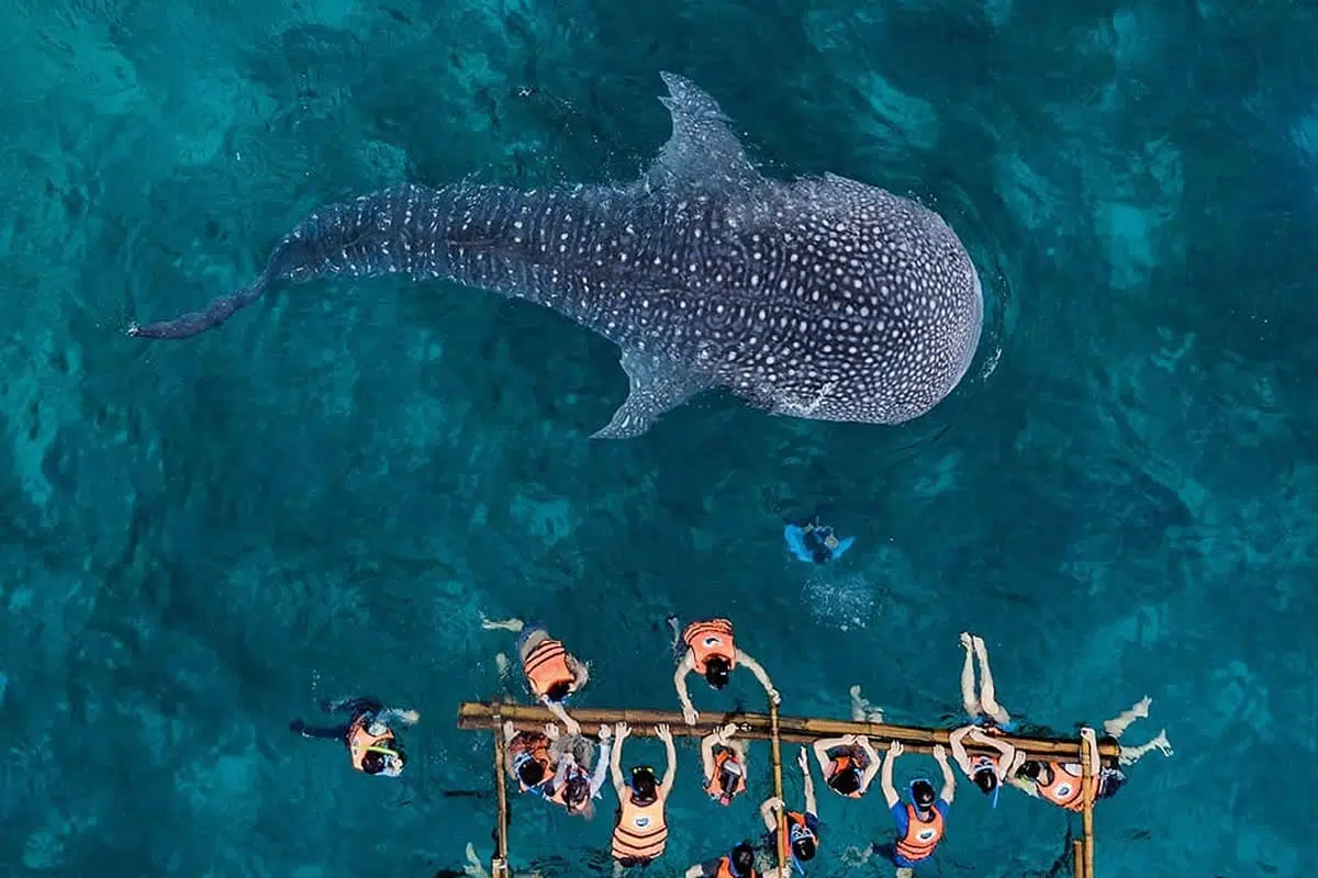 Drone Aerial Photography by Dimitar Karanikolov