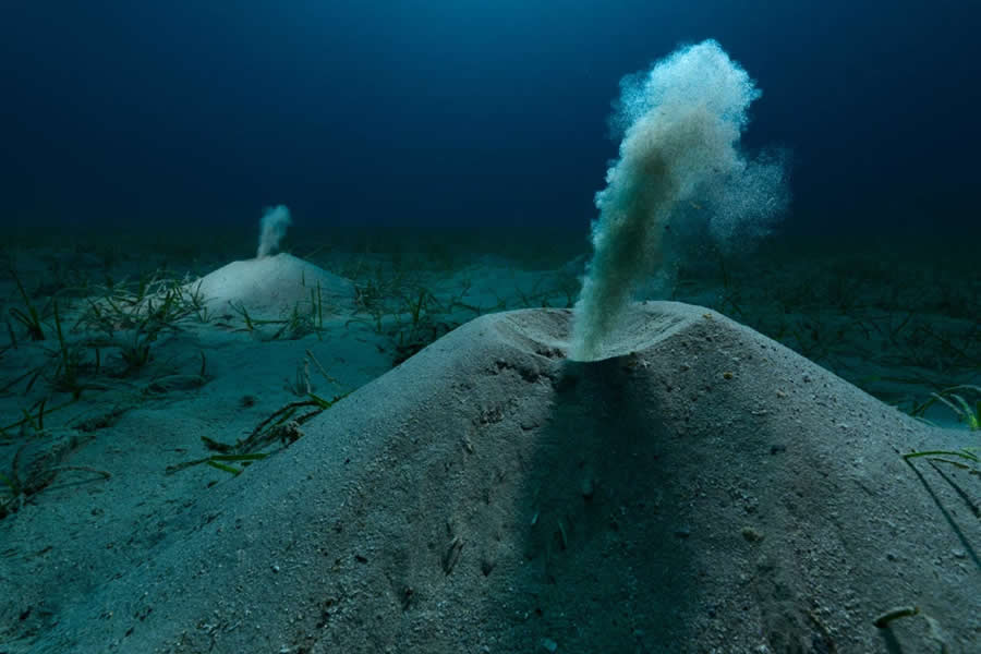 2025 Environmental Photography Awards Winners