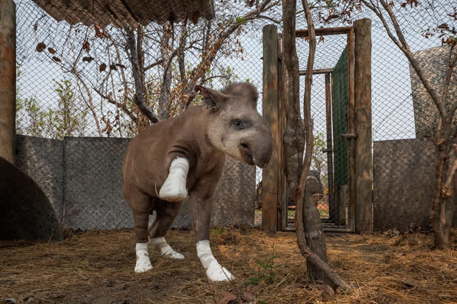 2025 Environmental Photography Awards Winners