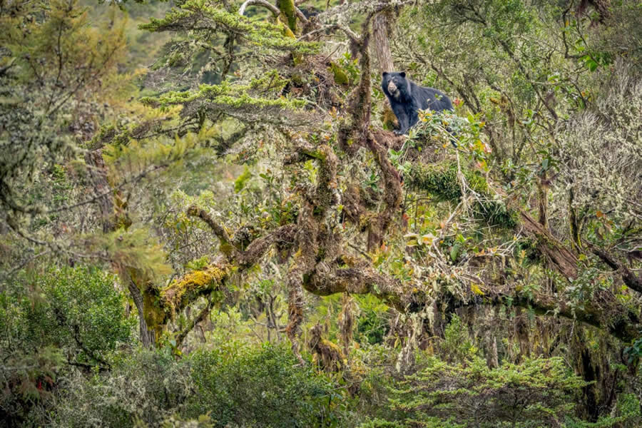 2025 Environmental Photography Awards Winners