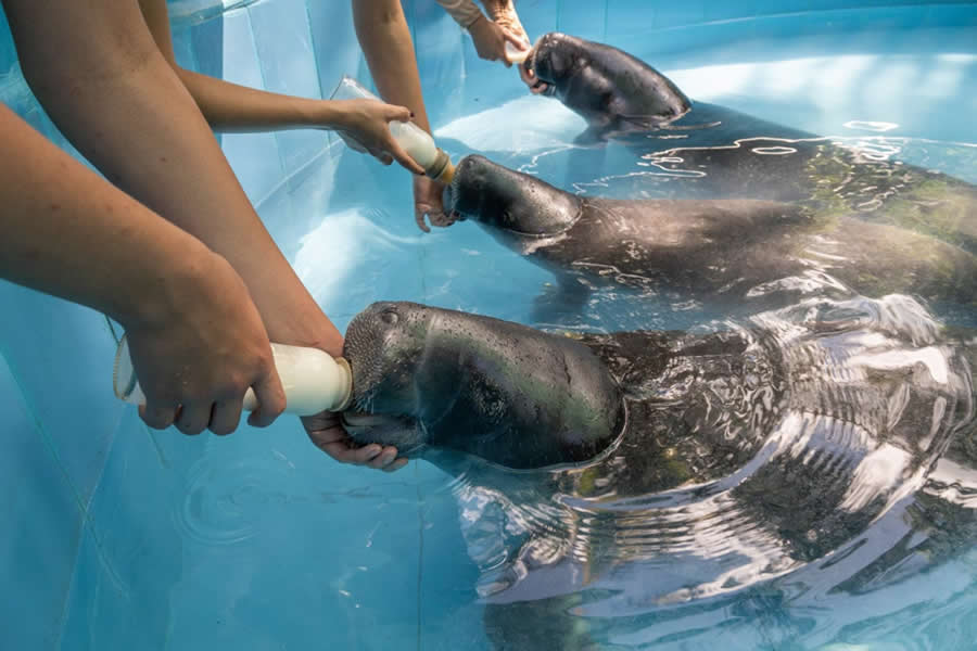 2025 Environmental Photography Awards Winners