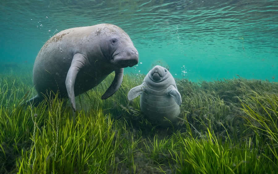 2025 Environmental Photography Awards Winners