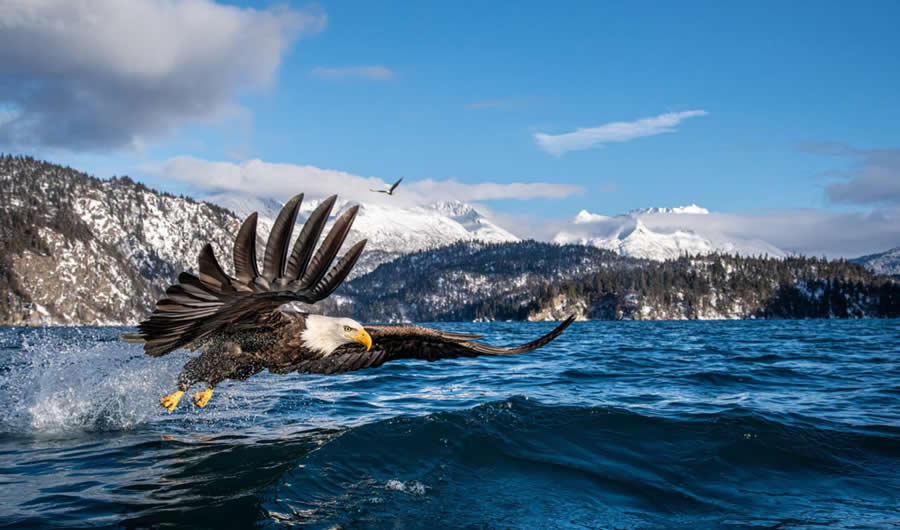 2025 Environmental Photography Awards Winners