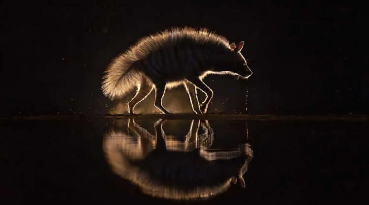 2025 Fine Art Photography Awards Winners
