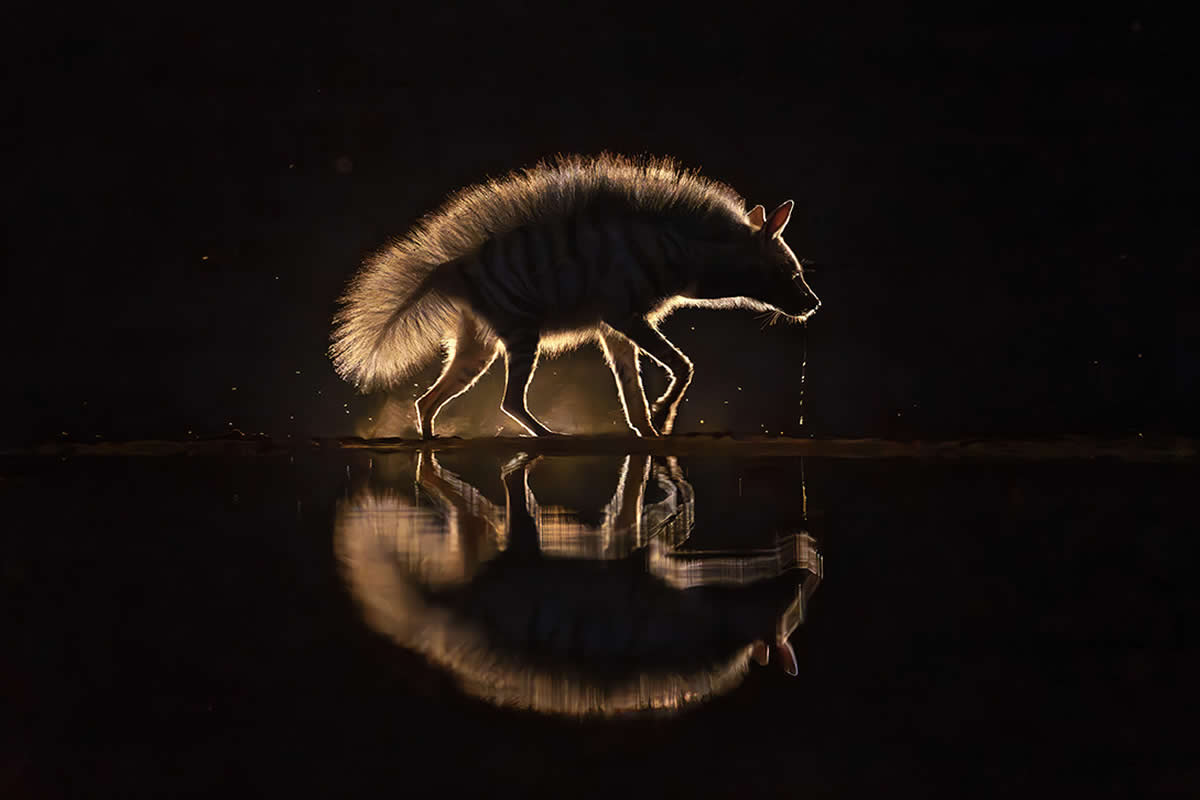 2025 Fine Art Photography Awards Winners