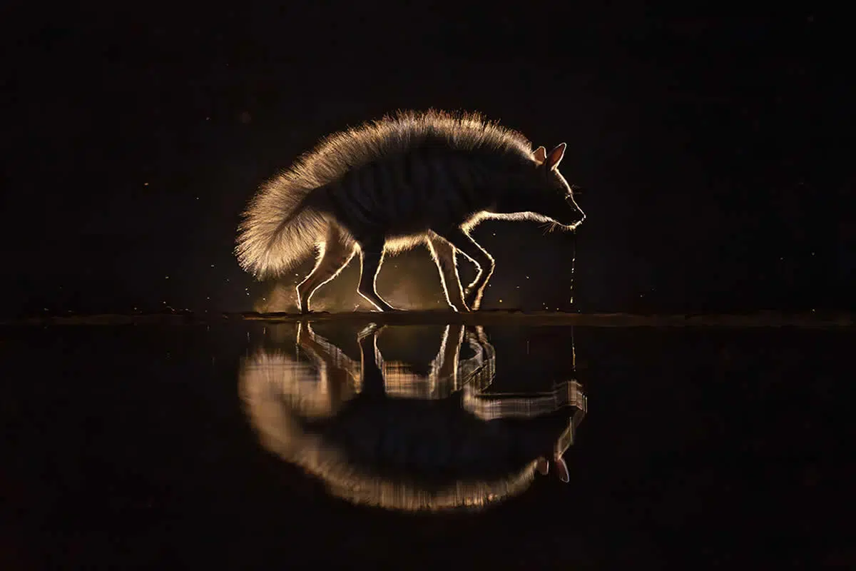 2025 Fine Art Photography Awards Winners
