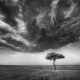 Landscape-Winning Photos From The 2025 Fine Art Photography Awards