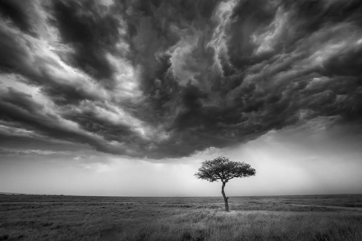 22 Remarkable Landscape-Winning Photos From The 2025 Fine Art Photography Awards