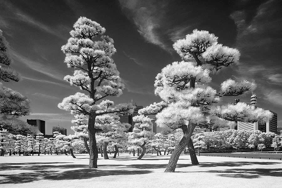 2025 Fine Art Photography Awards Winners