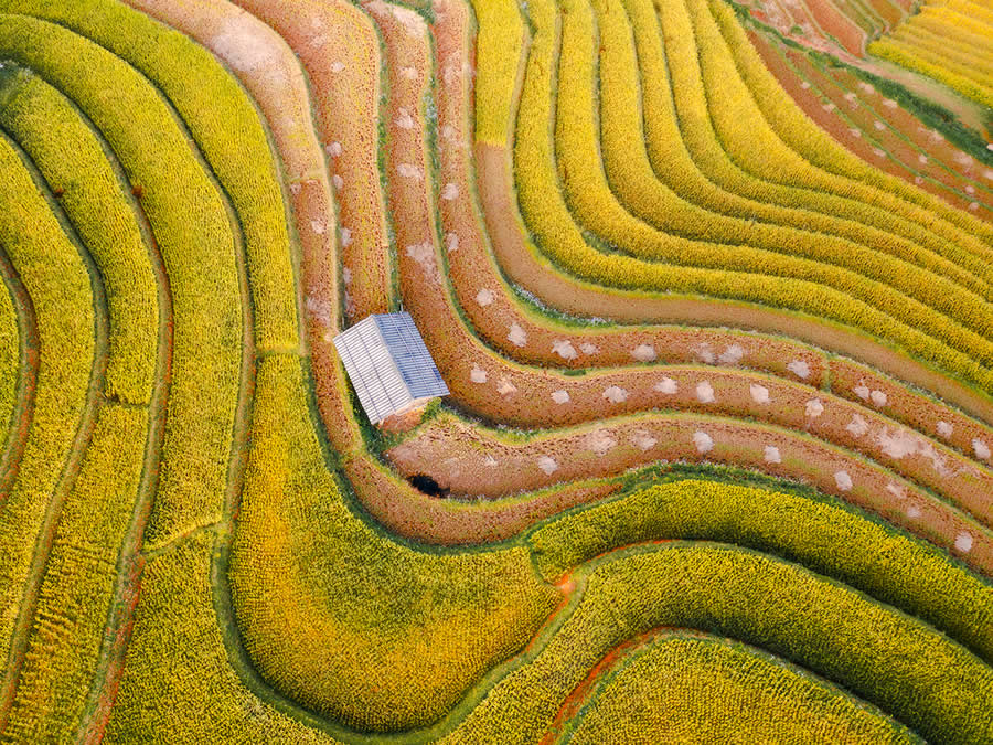 2025 Fine Art Photography Awards Winners