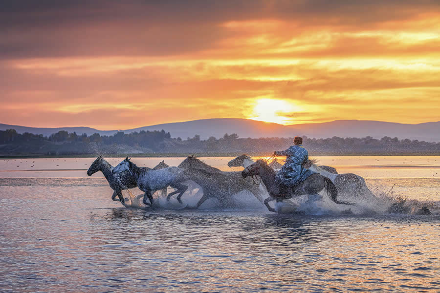 2025 Fine Art Photography Awards Winners