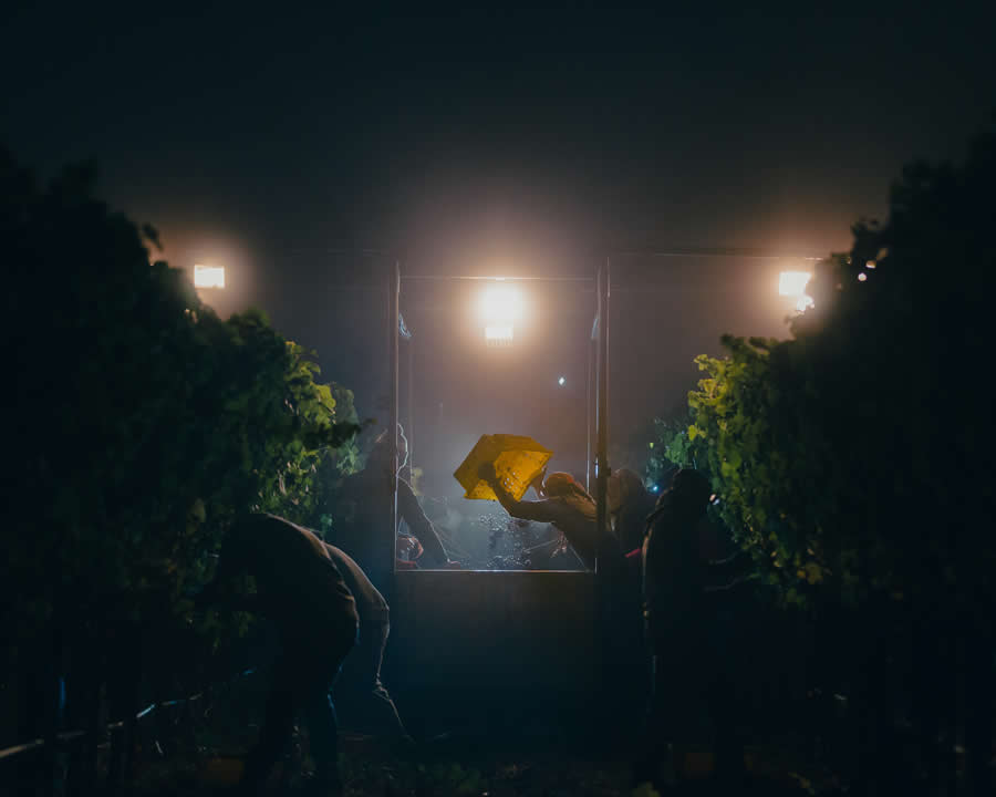2025 World Food Photography Awards Winners