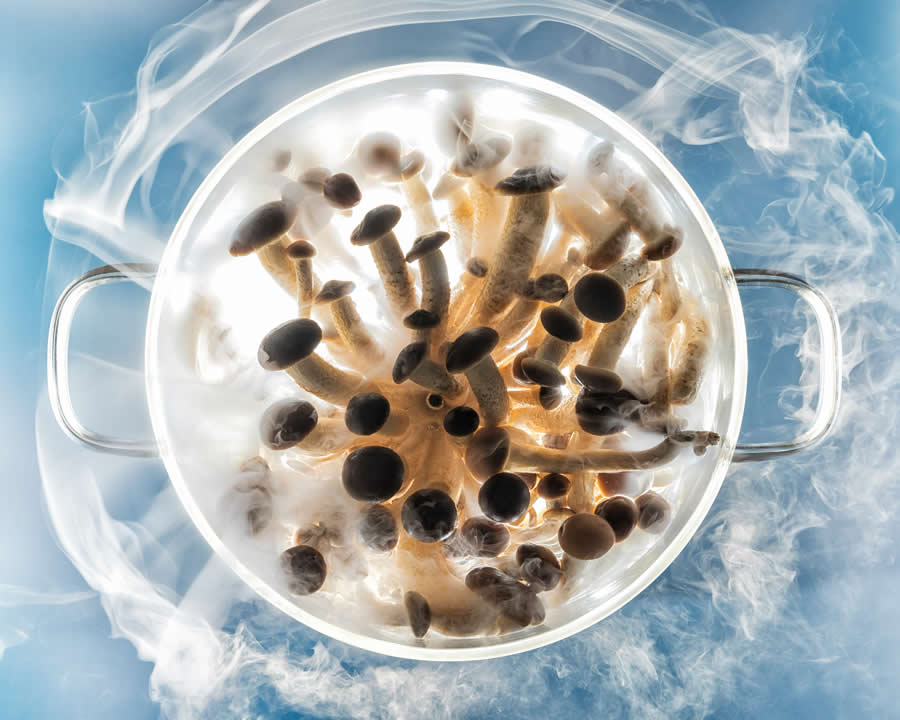 2025 World Food Photography Awards Winners