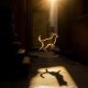Heartwarming Cat Photos Every Cat Lover Needs to See