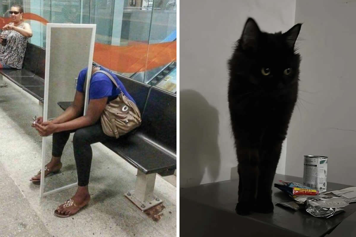 Funny and Hilarious Confusing Photos