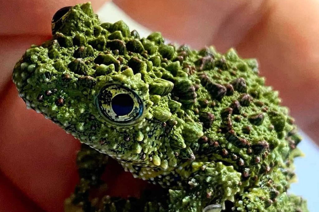 Jaw-Dropping Nature Photos That Will Awaken Your Inner Explorer