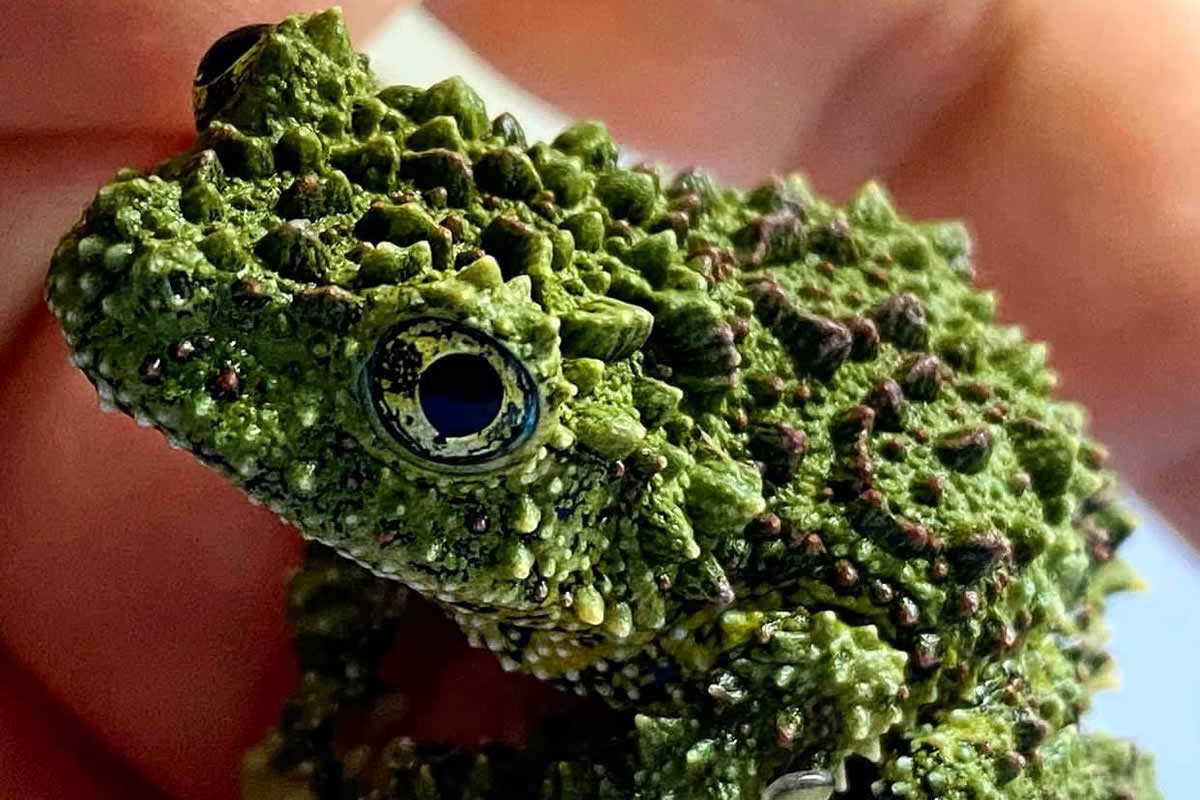 Jaw-Dropping Nature Photos That Will Awaken Your Inner Explorer