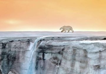 Nature Photos That Capture the Beauty of Earth and Inspire You to Explore