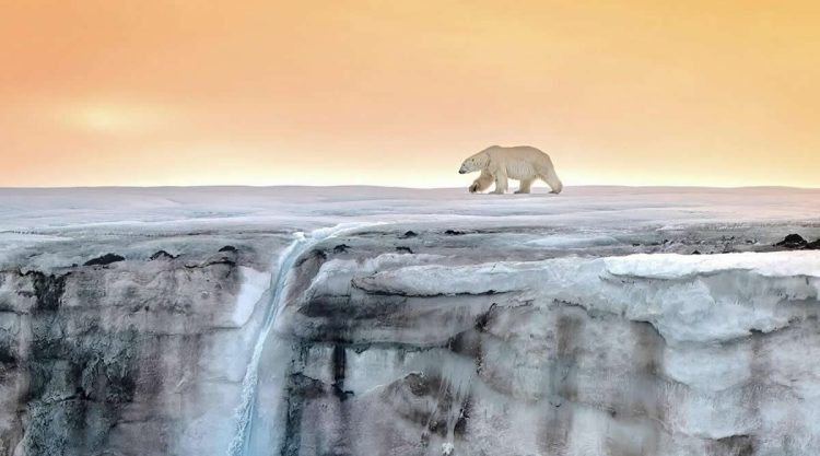 Nature Photos That Capture the Beauty of Earth and Inspire You to Explore