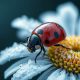 Beautiful Macro Shots of Ladybugs Captured with an iPhone by Viktoria