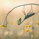 British Photography Awards In Macro