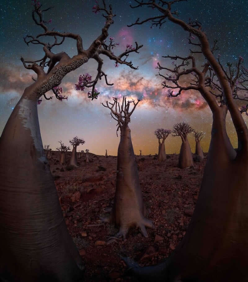 2025 Milky Way Photographer of the Year Winners
