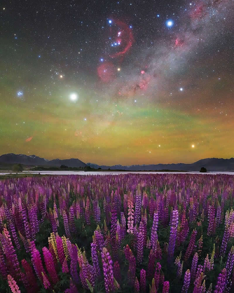 2025 Milky Way Photographer of the Year Winners