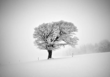 Tips for Minimalist Landscape Photography to Reveal Beauty in Simplicity