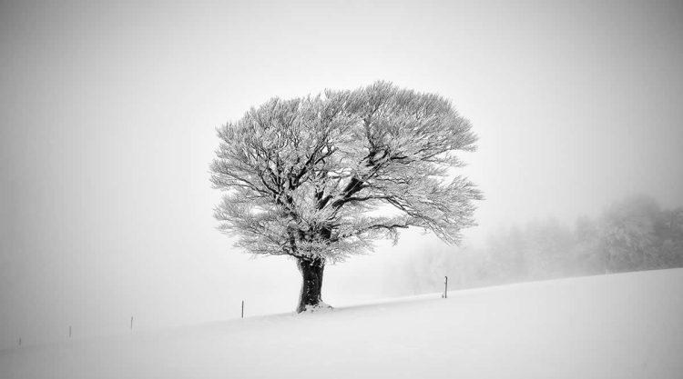 Tips for Minimalist Landscape Photography to Reveal Beauty in Simplicity