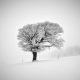 Tips for Minimalist Landscape Photography to Reveal Beauty in Simplicity