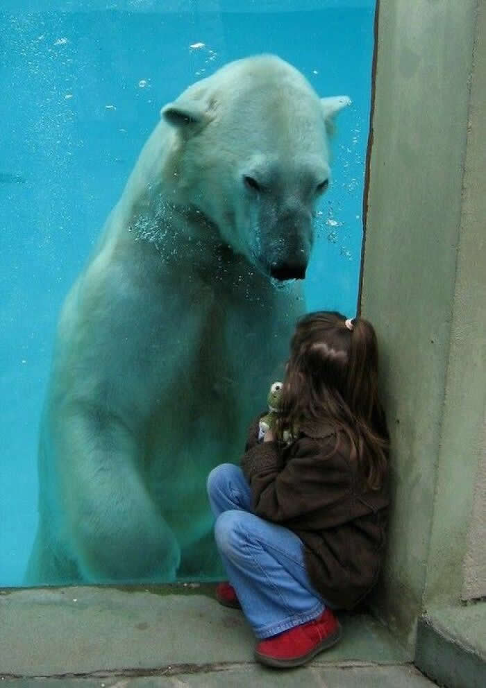 Irresistible Animal Moments That Capture Pure Joy and Mischief