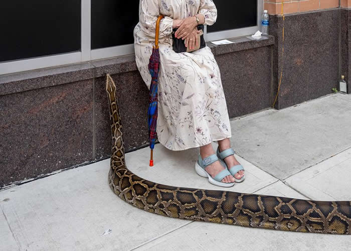 Winning Street Photos From The 2025 Pure Street Photography Grant