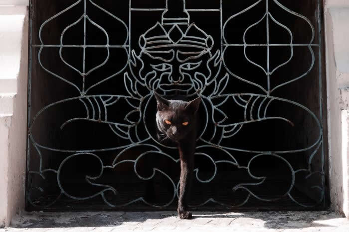 Winning Street Photos From The 2025 Pure Street Photography Grant