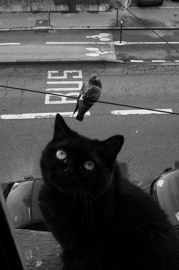 Winning Street Photos From The 2025 Pure Street Photography Grant