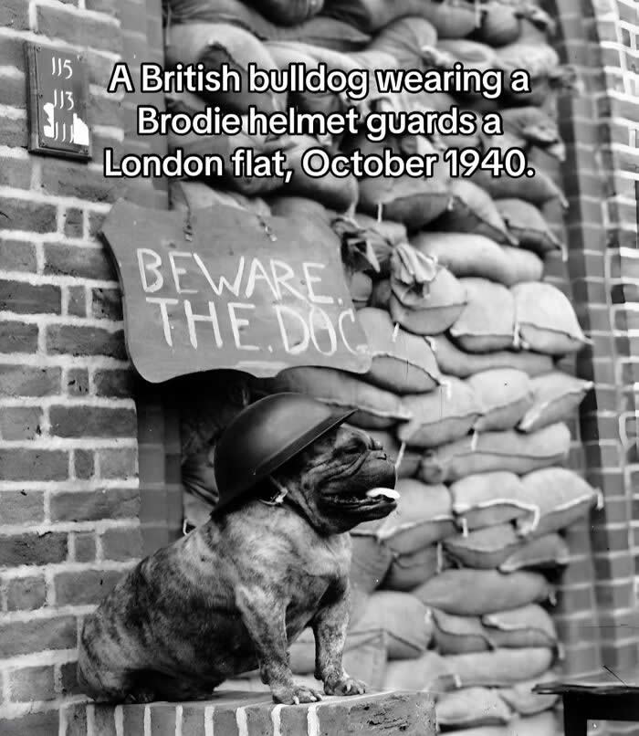 Rare and Historic Photos