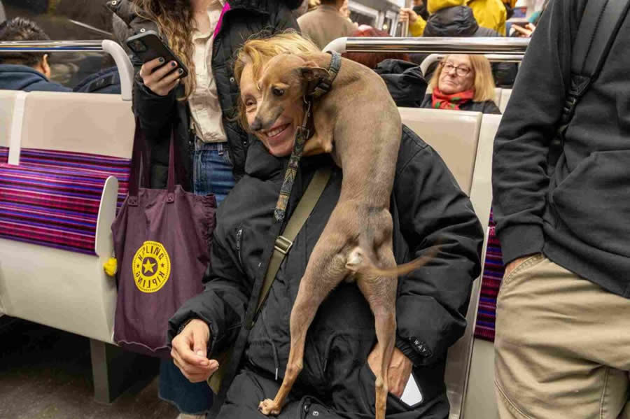 Street Photographers Foundation 2025 Winners
