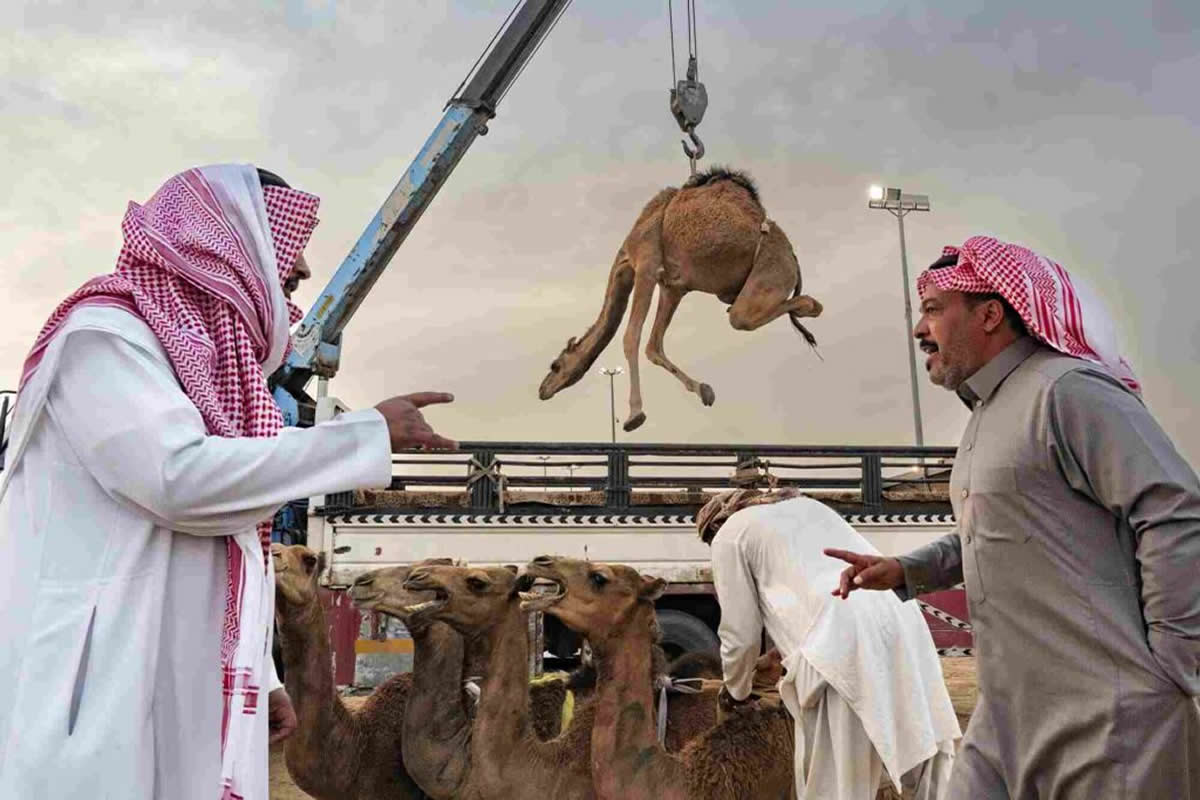 Street Photographers Foundation 2025 Winners