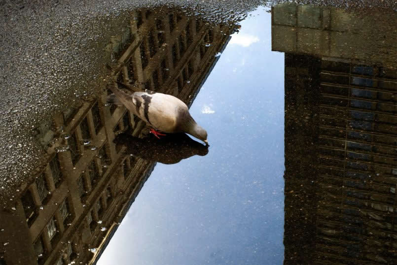 Street Photos with Perfect Timing and Unexpected Moments by Eric Kogan