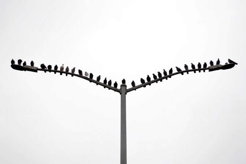 Street Photos with Perfect Timing and Unexpected Moments by Eric Kogan