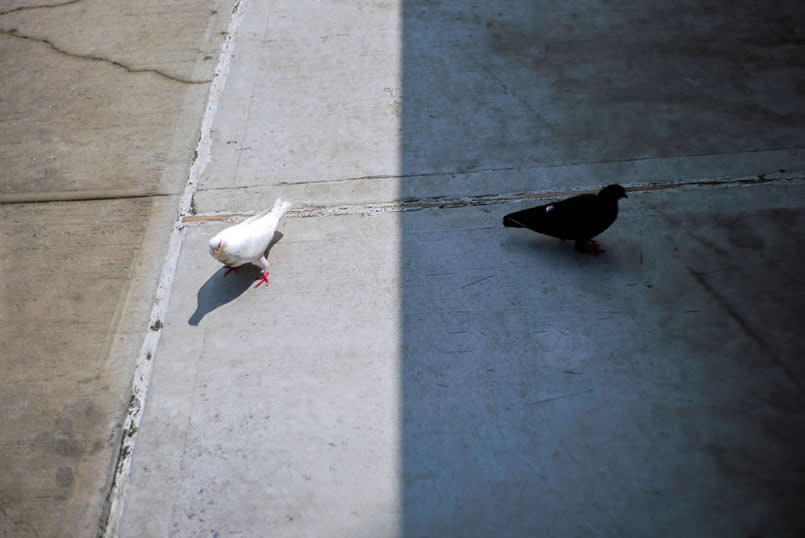 Street Photos with Perfect Timing and Unexpected Moments by Eric Kogan