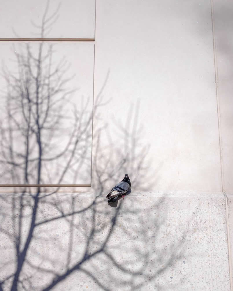 Street Photos with Perfect Timing and Unexpected Moments by Eric Kogan