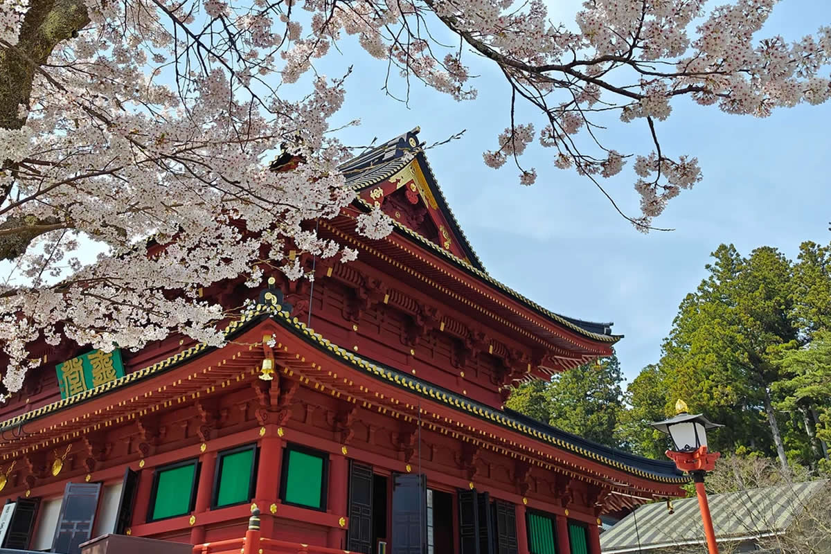 30 Stunning Travel Photos That Capture Earth’s Most Surreal Places