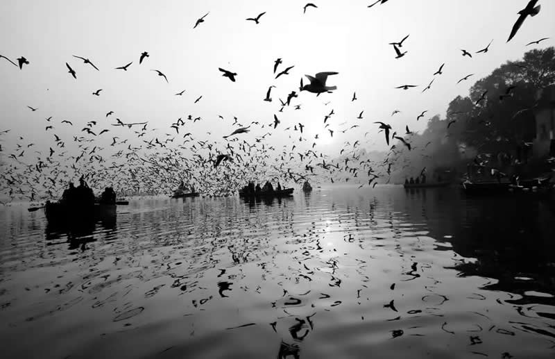 Black-and-White Winning Photos from the Artist Gallery Awards 2025