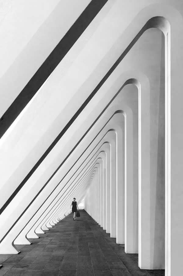 Black-and-White Winning Photos from the Artist Gallery Awards 2025