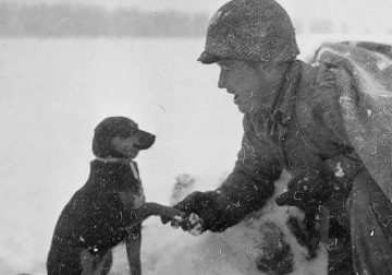 Timeless Vintage Photos Capture Moments in History