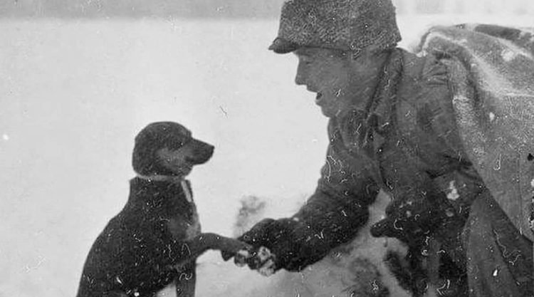 Timeless Vintage Photos Capture Moments in History