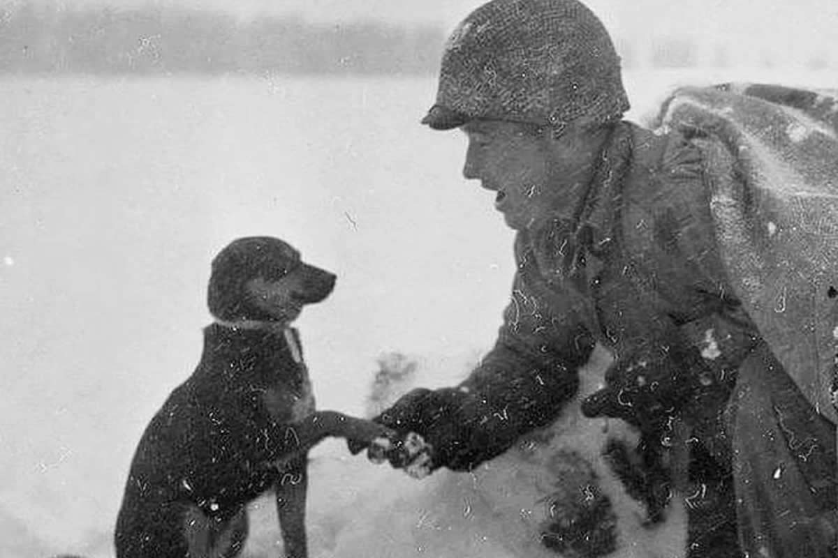 Timeless Vintage Photos Capture Moments in History