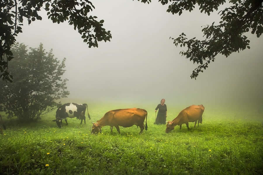 Turkish Village Life by Aygul Ozturk