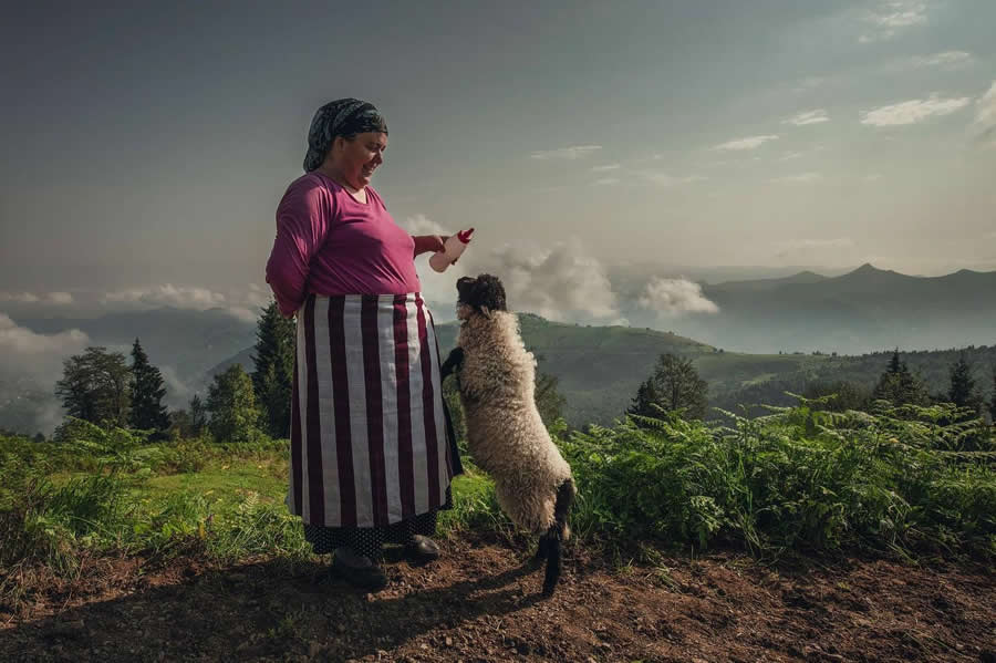 Turkish Village Life by Aygul Ozturk
